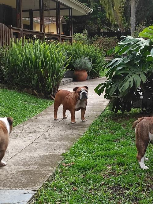 Ampla área de lazer